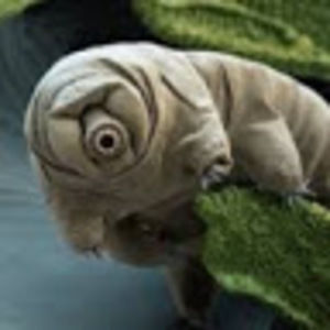 Meet your Posher, Charlyn